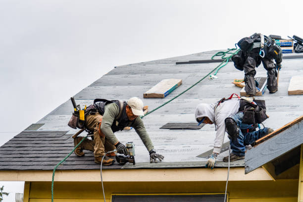 Professional Emergency Roof Repair technician working in Rapid City, MI